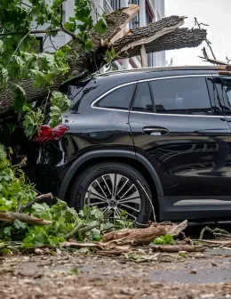 Portrait of Schadenregulierer